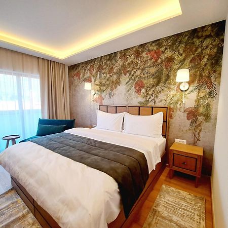 Pensiunea Leonida - Resort Leonida Poiana Tapului Ngoại thất bức ảnh